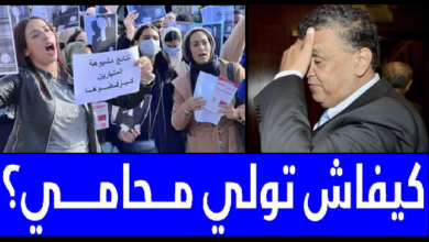 وهبي وسط عاصفة مباراة المحامين