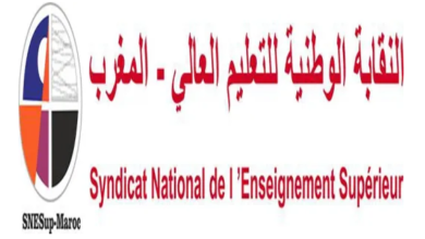 النقابة الوطنية للتعليم العالي