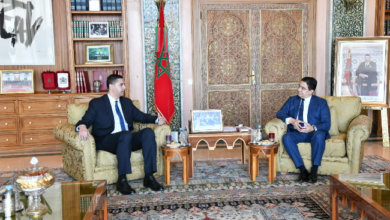 ناصر بوريطة خلال مباحثاته مع وزير الشؤون الخارجية والأوروبية والتجارة المالطي، إيان بورغ